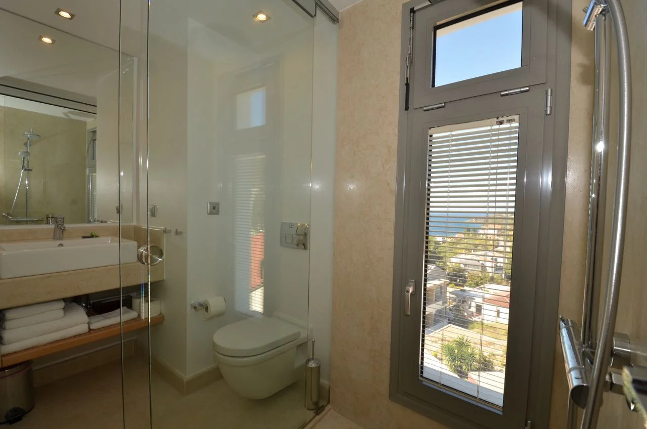 Deluxe Suite view